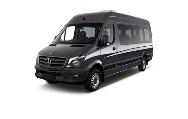 Minibus Mercedes Sprinter (4-8 Pax)