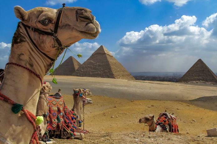  Pyramids, Memphis and Saqqara Tour