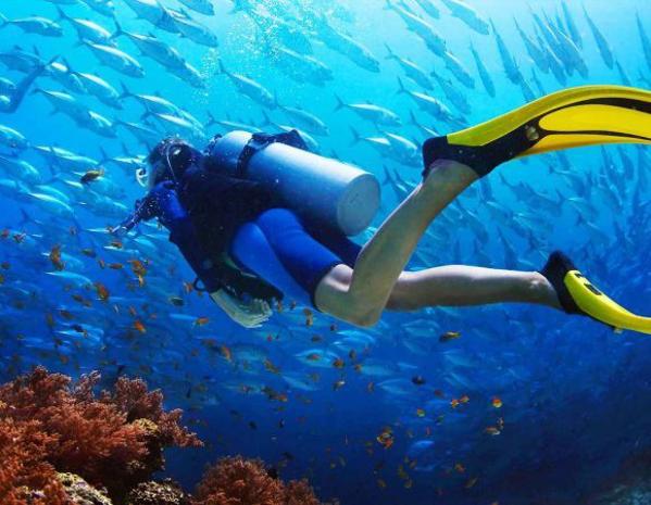 White Island & Ras Mohammed Snorkeling and Boat Tour With Lunch From Sharm El Sheikh