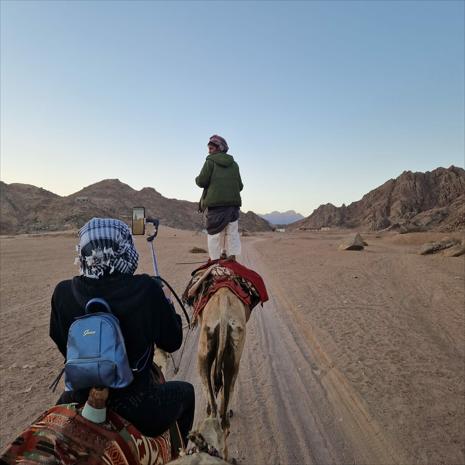  Quad Bike & Camel Ride Tour With Bedouin Village from Sharm El Sheikh