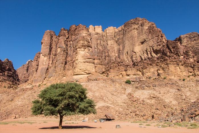 Wadi Rum Jeep Ride Tour (2 Hours)