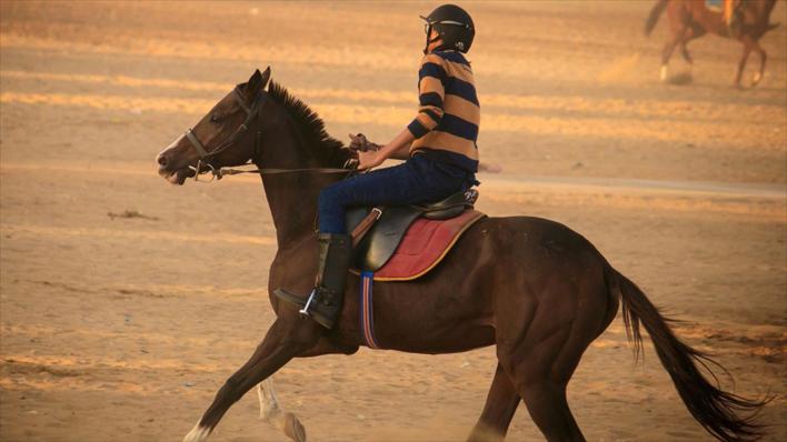 Magic Safari with Quad Tour in Hurghada