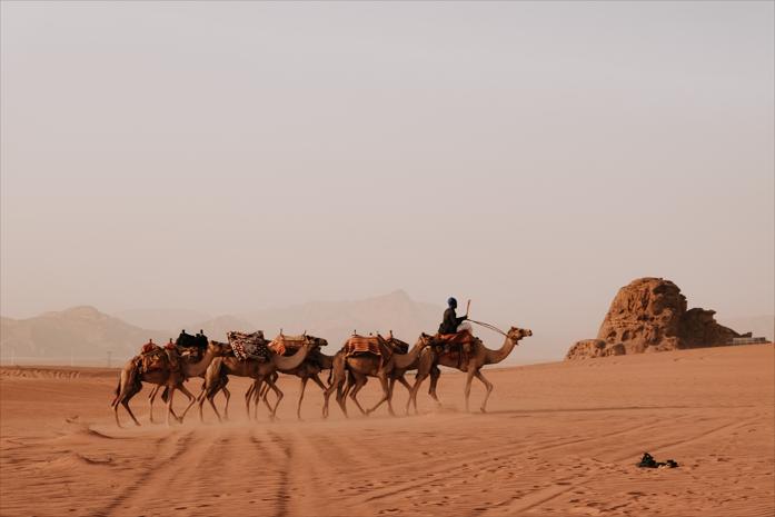 Camel Ride Tour in Wadi Rum
