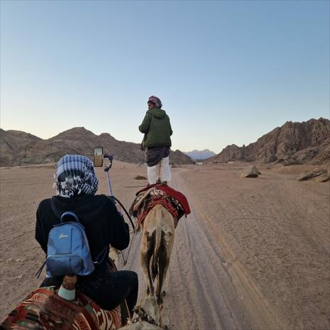 4 Nights - 5 Days Sharm El Sheikh Tour at 5 Star Hotels