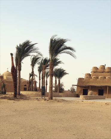 El Fayoum and Wadi El Rayan Tour From Cairo (Private Tour)