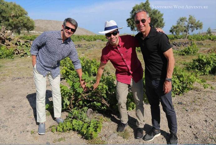 Small Group Santorini Wine Tasting (Daytime Tour)
