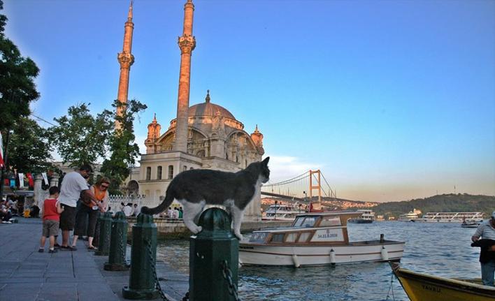 bosphorus tour with breakfast