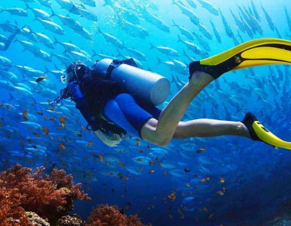 5 Nights - 6 Days Sharm El Sheikh Tour at 4 Star Hotels