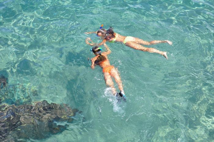 Private Zanzibar Dolphin Tour and Snorkeling