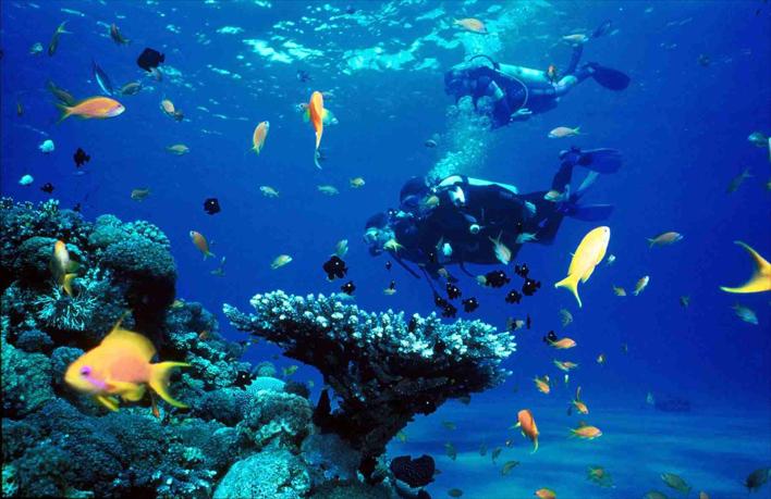 5 Nights - 6 Days Sharm El Sheikh Tour at 4 Star Hotels