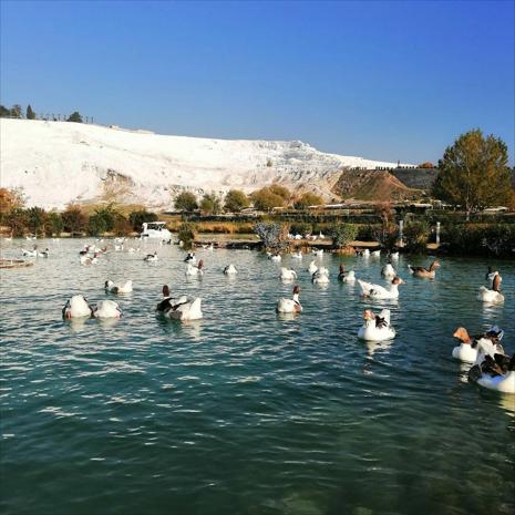 Full Day Pamukkale Tour From Kusadasi