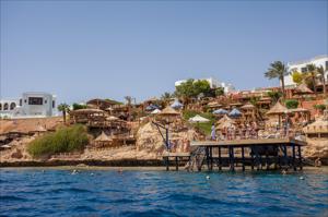 4 Nights - 5 Days Sharm El Sheikh Tour at 5 Star Hotels