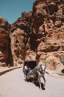 6 Nights & 7 Days Private Petra Tour