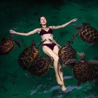 Swimming with Turtles in Zanzibar
