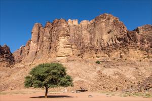 Wadi Rum Jeep Ride Tour (2 Hours)