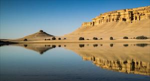 El Fayoum and Wadi El Rayan Tour From Cairo (Private Tour)