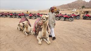 5 Nights - 6 Days Sharm El Sheikh Tour at 4 Star Hotels