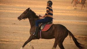Magic Safari with Quad Tour in Hurghada