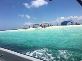 Swimming with Turtles in Zanzibar