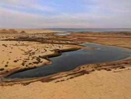 El Fayoum and Wadi El Rayan Tour From Cairo (Private Tour)