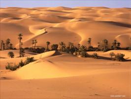 12 Nights & 13 Days Cairo & Nile Cruise & Hurghada Tour