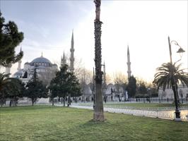 Istanbul City Tour & Bosphorus Yacht Cruise 