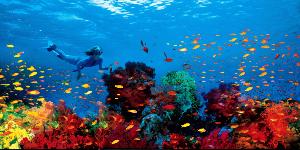 9 Nights & 10 Days Cairo & Hurghada Holiday Package