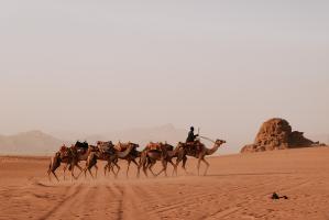 Camel Ride Tour in Wadi Rum