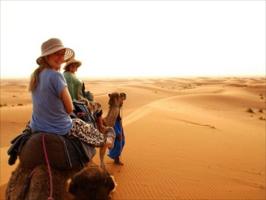 4 Nights - 5 Days Sharm El Sheikh Tour at 5 Star Hotels