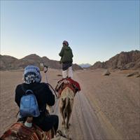 5 Nights - 6 Days Sharm El Sheikh Tour at 4 Star Hotels