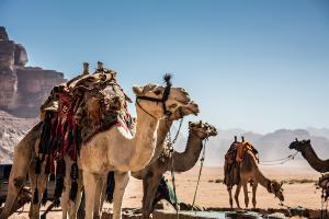 4 Nights & 5 Days Short Trip to Jordan  (Group Tour-Every Tuesday)