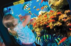 Sharm El Sheikh Sea Scope Submarine Tour