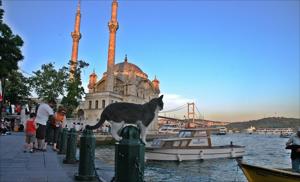 Bosphorus Cruise