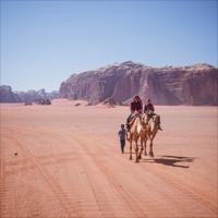 Camel Ride Tour in Wadi Rum