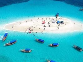 Swimming with Turtles in Zanzibar