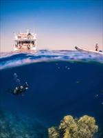 5 Nights - 6 Days Sharm El Sheikh Tour at 4 Star Hotels