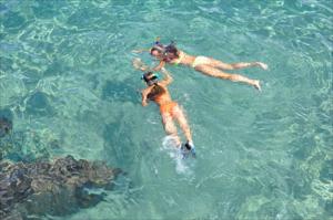 Private Zanzibar Dolphin Tour and Snorkeling