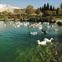 Full Day Pamukkale Tour