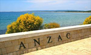 Daily Gallipoli Tour from Istanbul