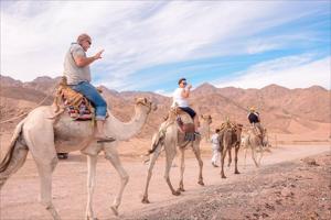 5 Nights - 6 Days Sharm El Sheikh Tour at 4 Star Hotels