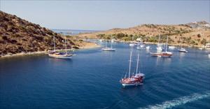 Bodrum Daily Boat Tour