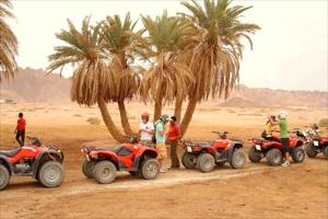 5 Nights - 6 Days Sharm El Sheikh Tour at 4 Star Hotels