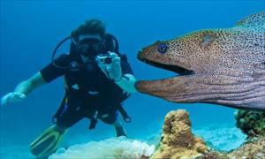5 Nights - 6 Days Sharm El Sheikh Tour at 4 Star Hotels