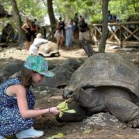 Zanzibar 3 Days / 2 Nights Package Tour