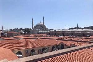 Istanbul Grand Bazaar Rooftop and Shopping Tour (Half-Day Private)