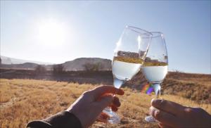 Cappadocia Hot Air Balloon Tour